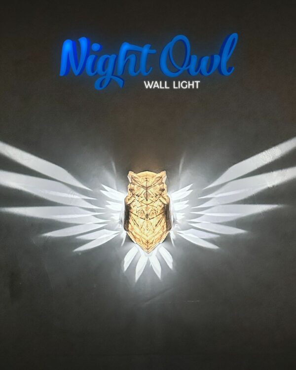 Night Owl Wall Light