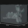 Disney sitting – Image 7
